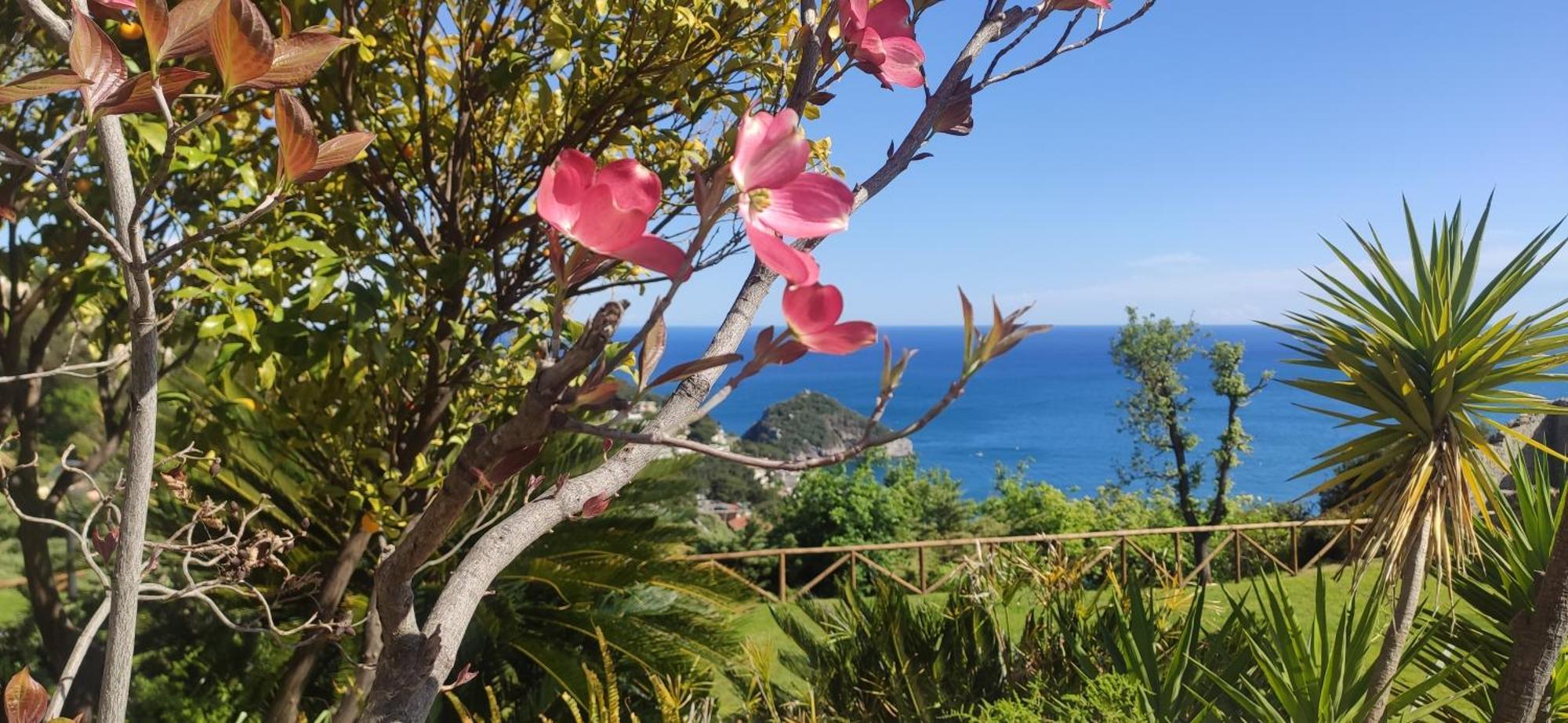 Il Giardino Sull'Isola - Appartamento - Bergeggi Exterior photo